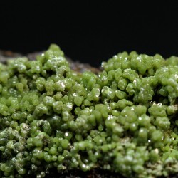 Piromorfita Asturias