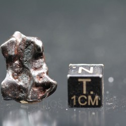 Meteorito Sikhote Alin Rusia