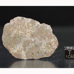 Meteorito NWA