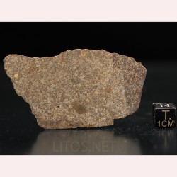Meteorito NWA