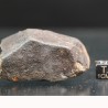 Meteorito NWA