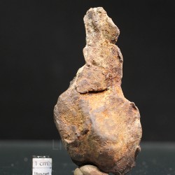 Meteorito Djebel Kamil