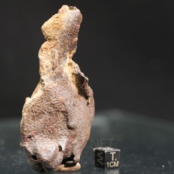 Meteorito Djebel Kamil