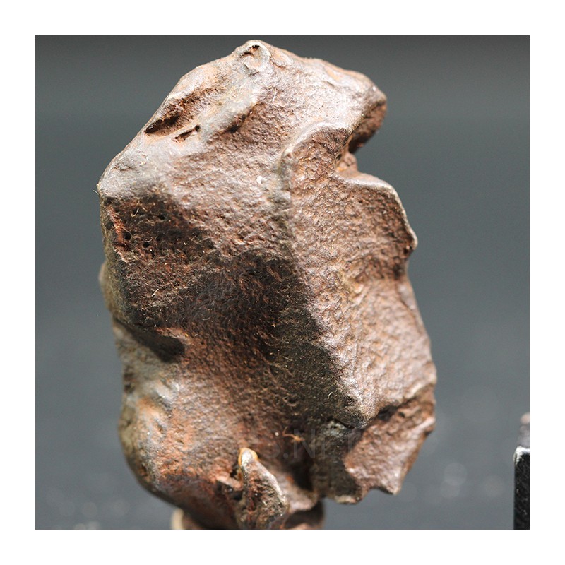 Meteorito Djebel Kamil