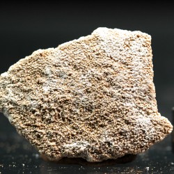 Cáscara de huevo de dinosaurio