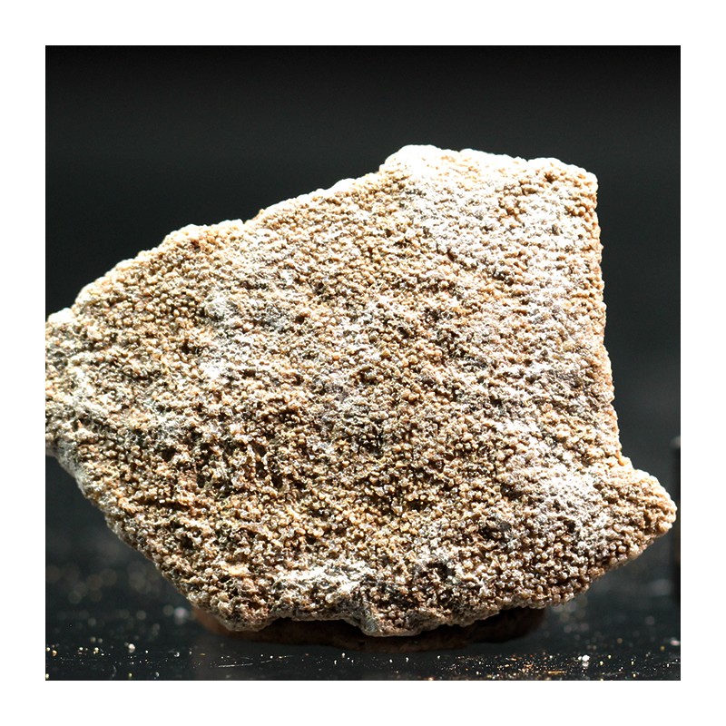 Cáscara de huevo de dinosaurio