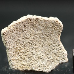 Cáscara de huevo de dinosaurio