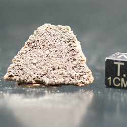 Cáscara de huevo de dinosaurio