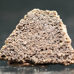 Cáscara de huevo de dinosaurio