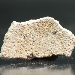 Cáscara de huevo de dinosaurio