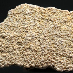 Cáscara de huevo de dinosaurio