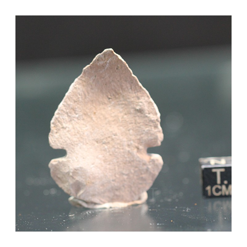 Punta de lanza obsidiana