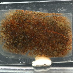 NWA, lámina delgada