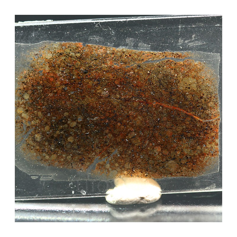 NWA, lámina delgada