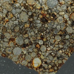 NWA 16664, lámina delgada