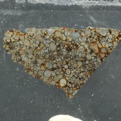 NWA 16664, lámina delgada