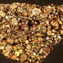 NWA 16664, lámina delgada