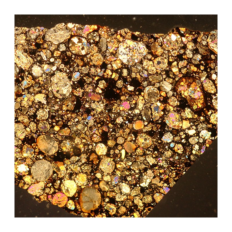 NWA 16664, lámina delgada