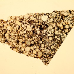 NWA 16664, lámina delgada