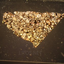 NWA 16664, lámina delgada