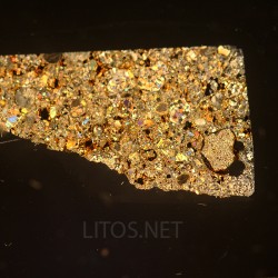 NWA 17438, lámina delgada