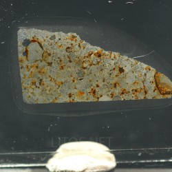 NWA 17438, lámina delgada