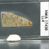 NWA 17438, lámina delgada