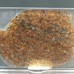 NWA, lámina delgada