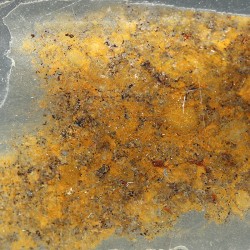 NWA, lámina delgada