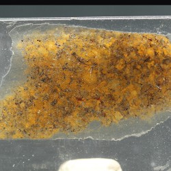 NWA, lámina delgada