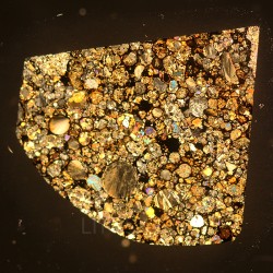 NWA 16664, lámina delgada