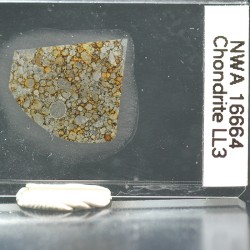 NWA 16664, lámina delgada