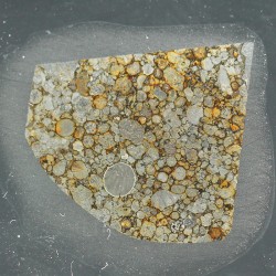 NWA 16664, lámina delgada