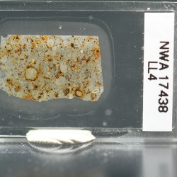 NWA 17438, lámina delgada