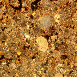 NWA 17438, lámina delgada