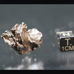 Meteorito Sikhote Alin Rusia