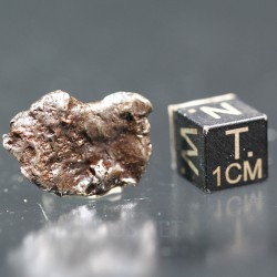 Meteorito Sikhote Alin Rusia