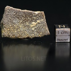 Cáscara de huevo de dinosaurio