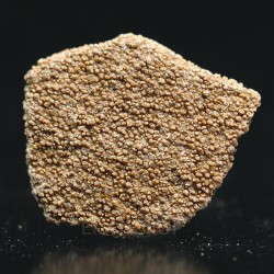 Cáscara de huevo de dinosaurio