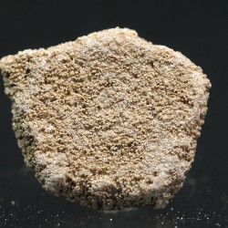 Cáscara de huevo de dinosaurio