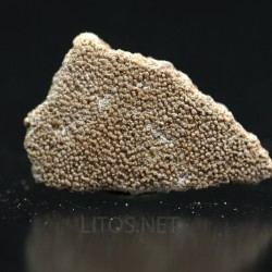 Cáscara de huevo de dinosaurio