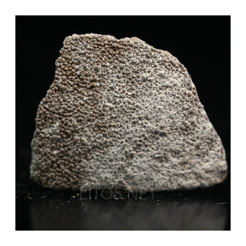 Cáscara de huevo de dinosaurio