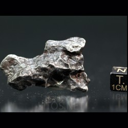 Meteorito Sikhote Alin Rusia