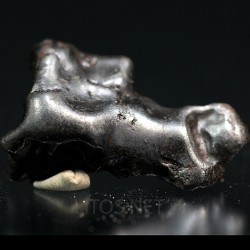 Meteorito Sikhote Alin Rusia