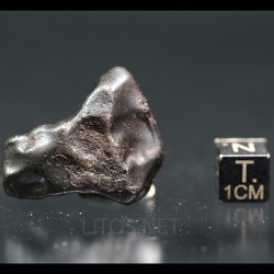 Meteorito Sikhote Alin Rusia