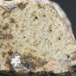 Meteorito de Marte, Amgala 001