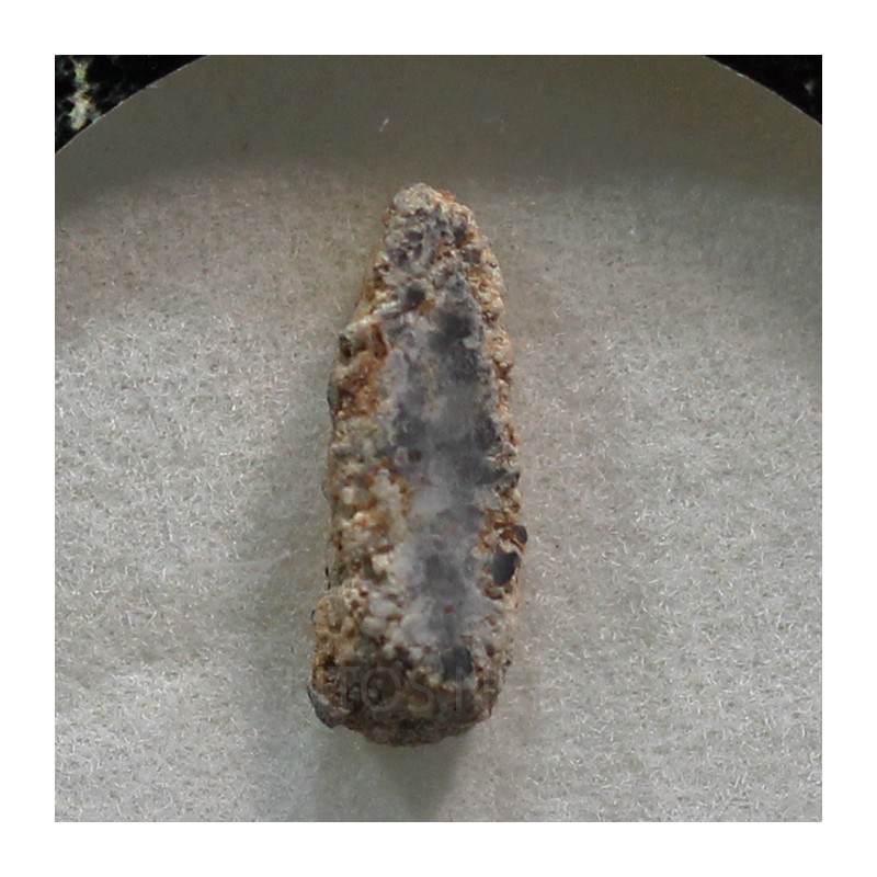 Meteorito lunar brecha anortosita