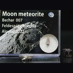 Meteorito lunar brecha anortosita