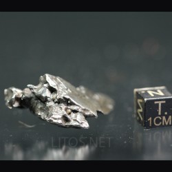 Meteorito campo del cielo