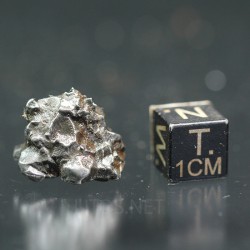 Meteorito campo del cielo